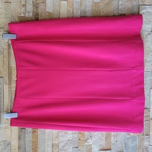 Ann Taylor pencil skirt